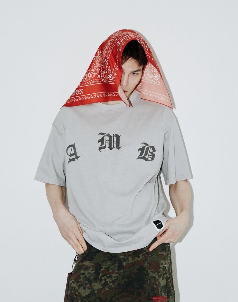 AAMBITION（アアンビション）の「ヴィンテージペイズリーTシャツ (Ashed-gray)（トップス）」