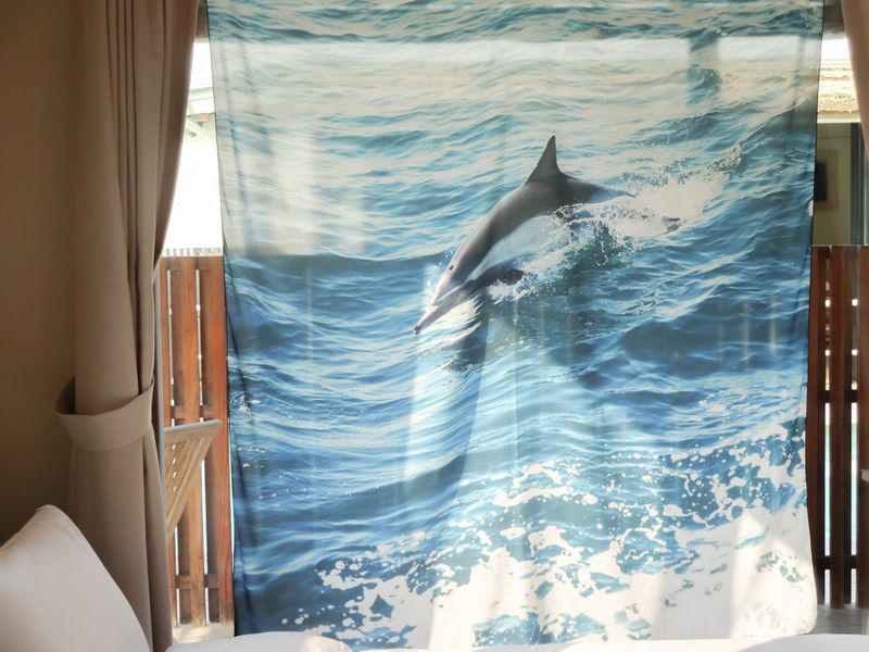 Dolphin towards Freedom, fabric poster