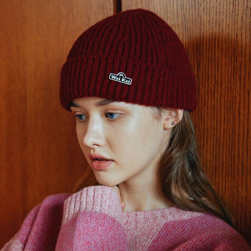 Dolphin logo badge beanie