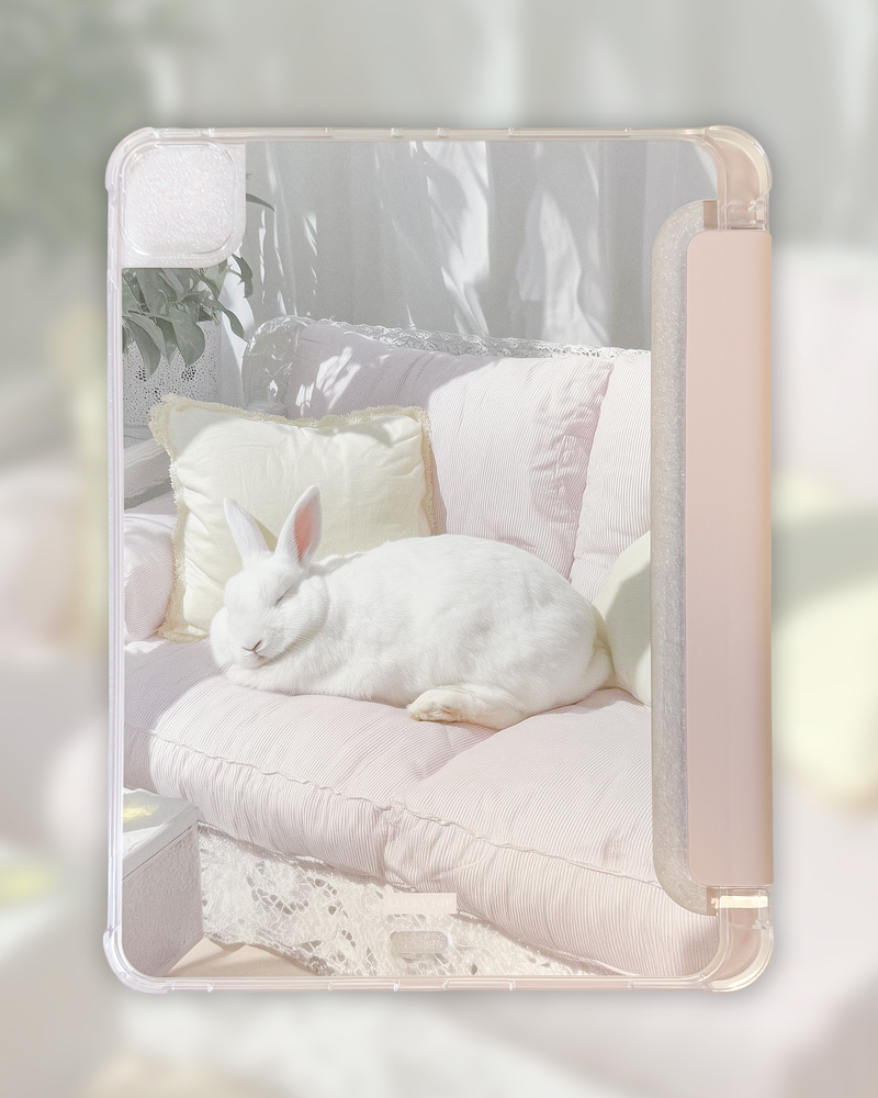 A Nap Rabbit Ipad case