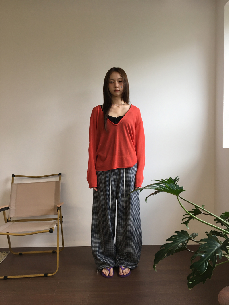 Veiled Summer V-neck Knit (5color)