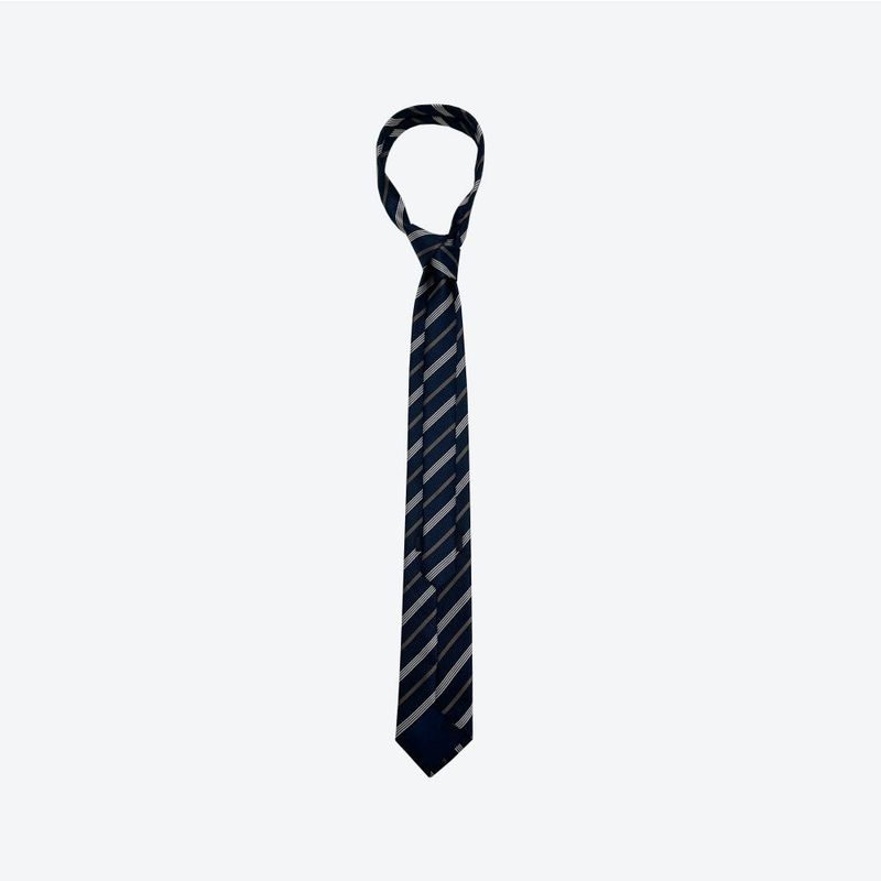 Lezen Stripe Tie