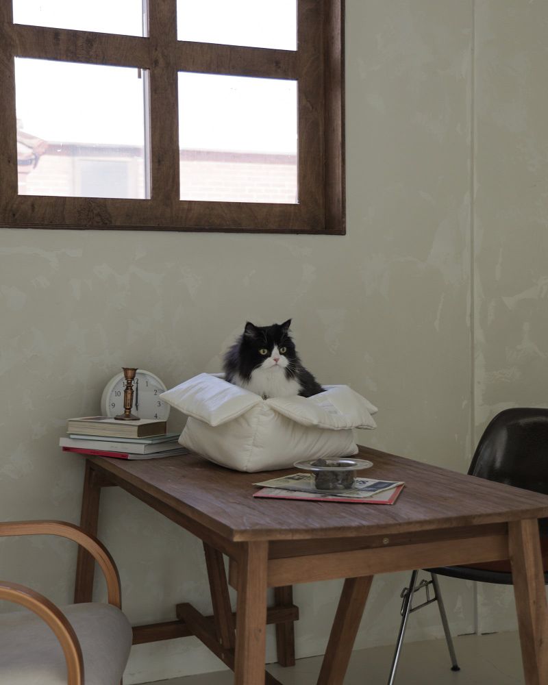 CAT CUSHION BOX_ivory