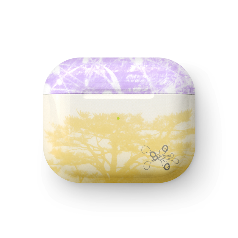 hiking archive airpods case