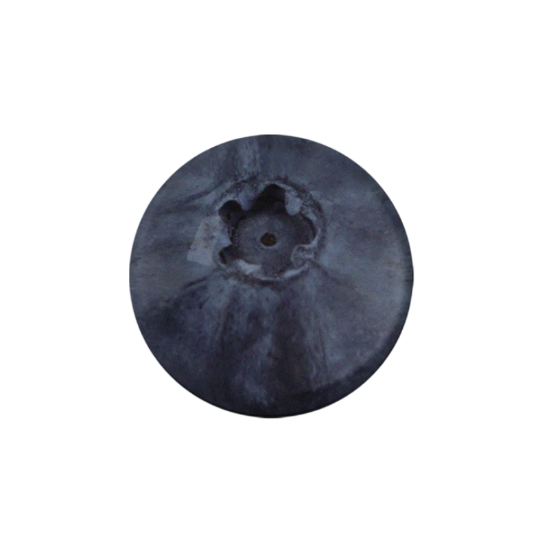 StuPhy（スタフィー）の「Blueberry Halfmoon Tok（Smartphone Accessories）」