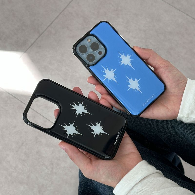 3 DANDELION CASE (BLACK)