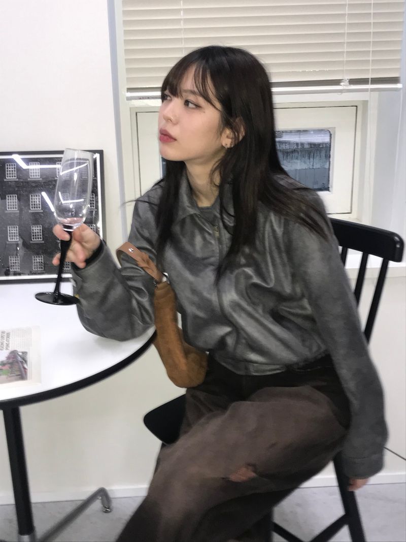 Arcti leather blouson jacket