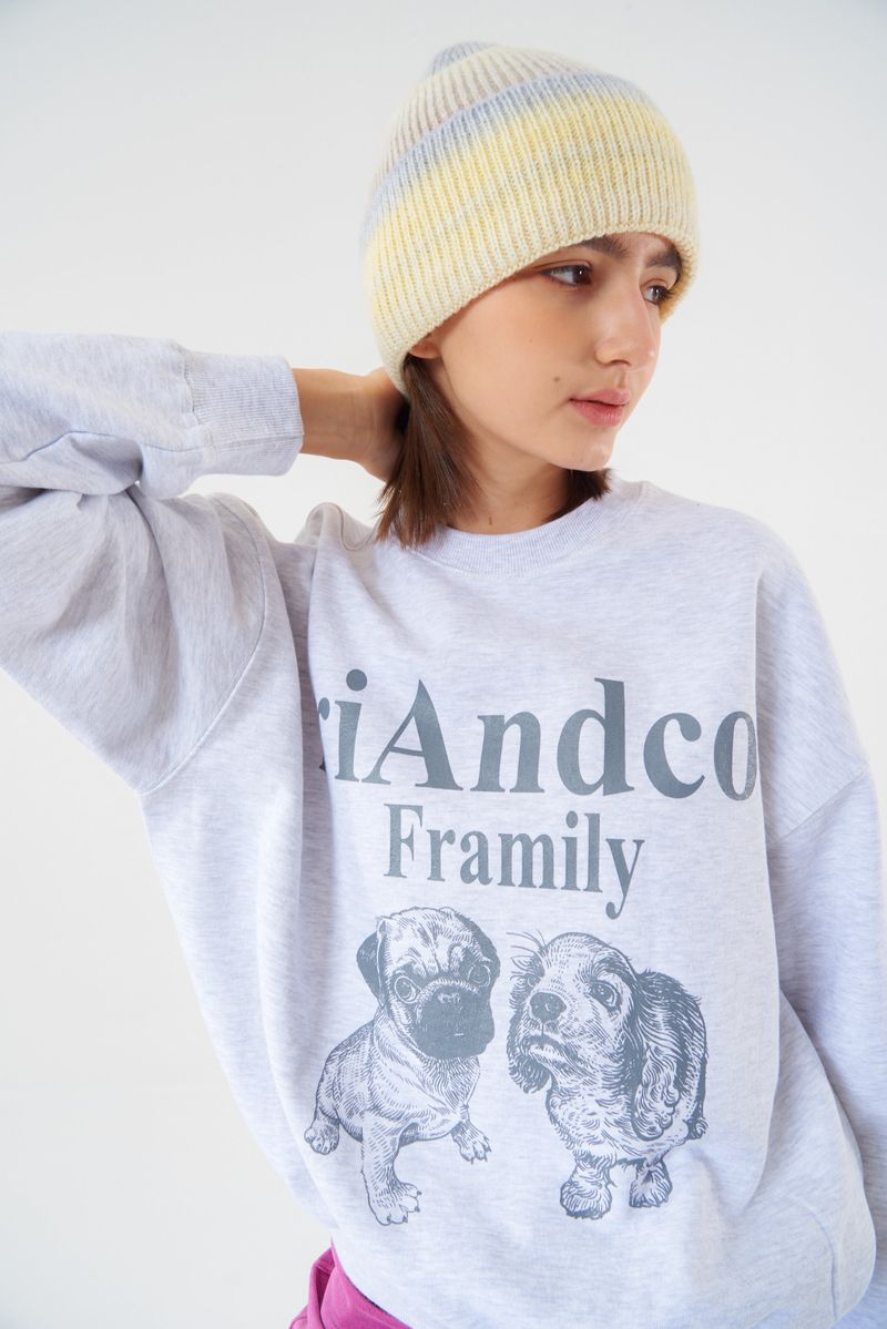Framily Sweatshirts Light melange