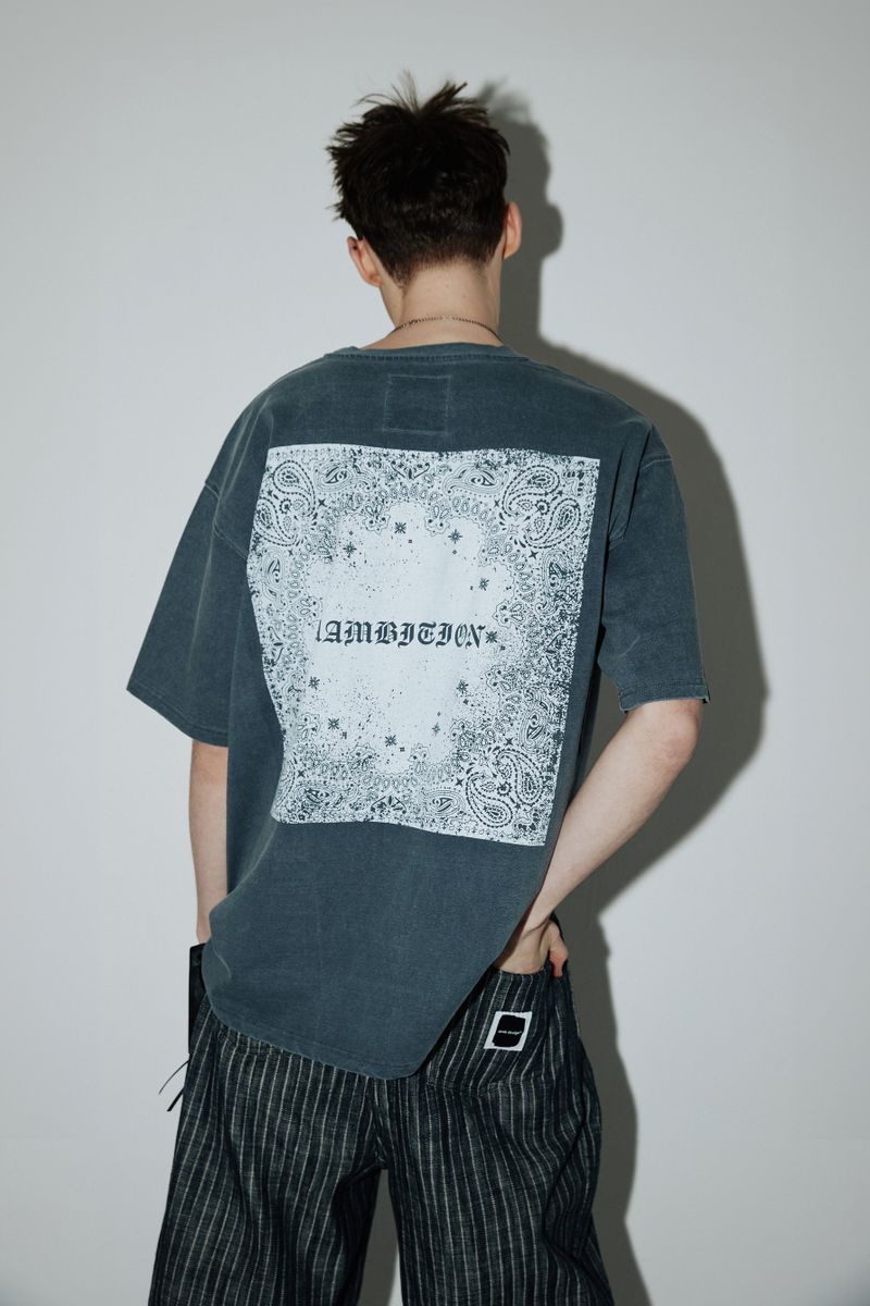 Vintage Paisley T-shirts (Ashed-blue)