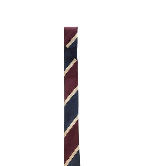 [LAN ARCHIVE] Schooled stripe mold tie