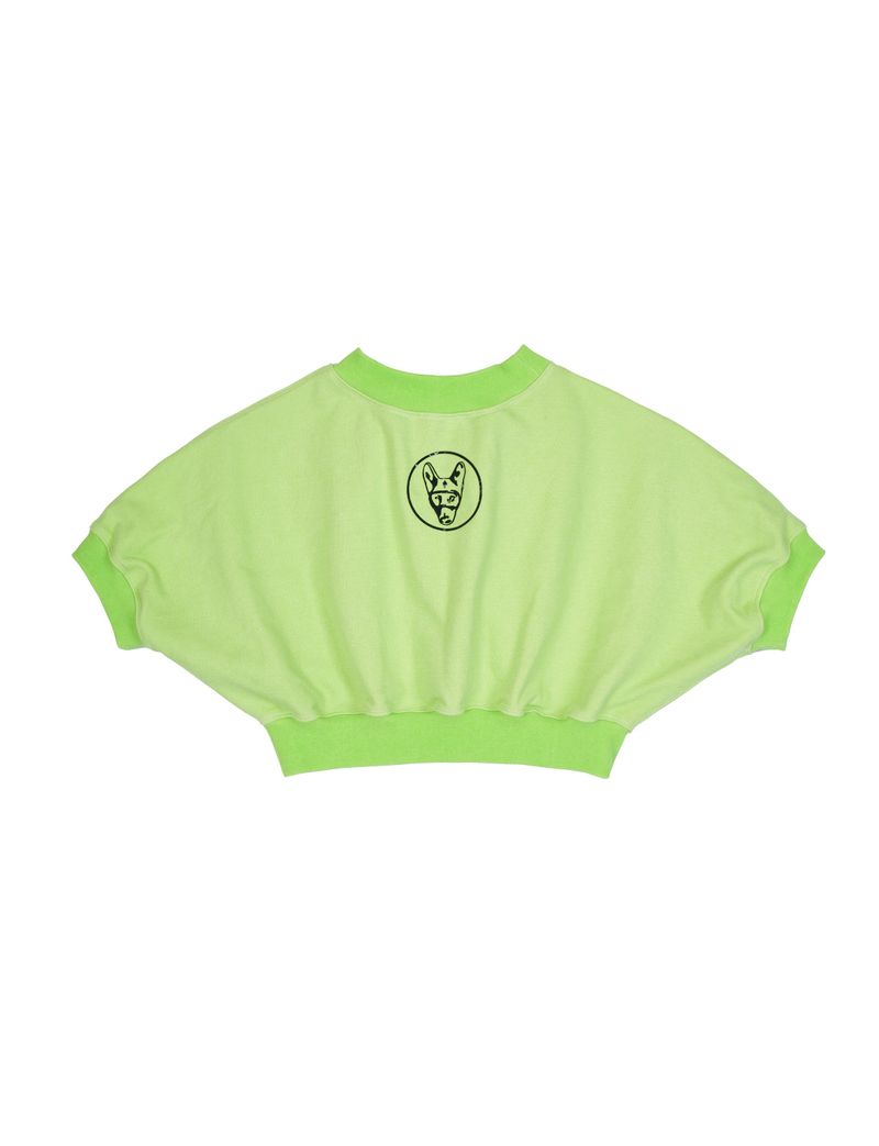 Sweatshirt Crop Top