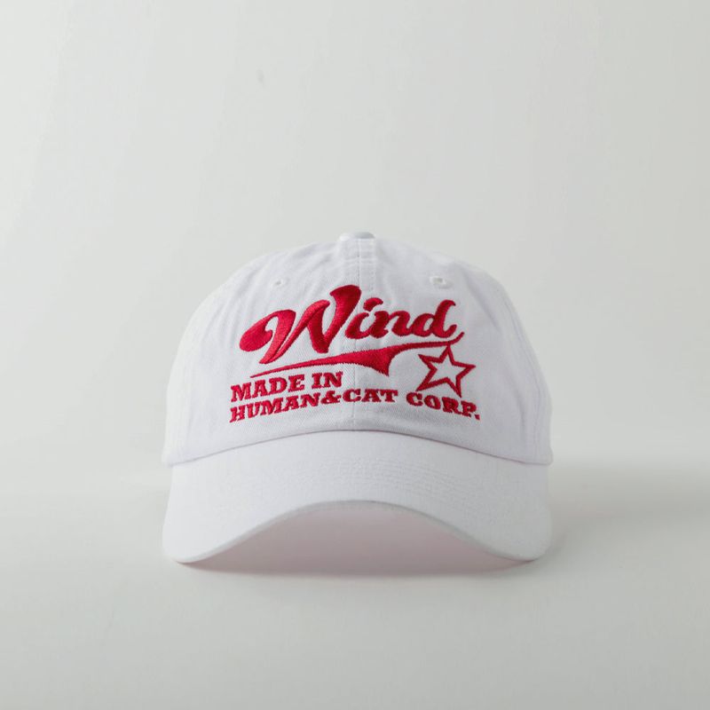 WIND WASHED COTTON BALL CAP / WHITE