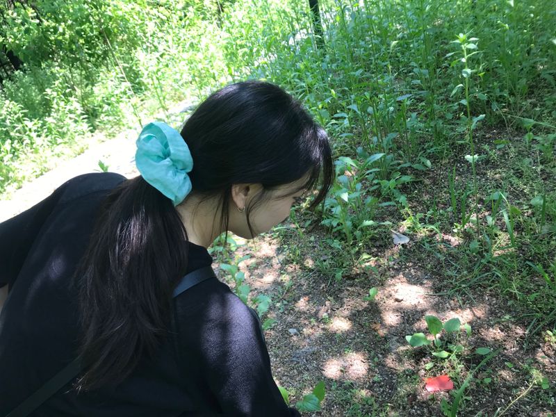 Vintage Hair Ruffle - Peppermint Check