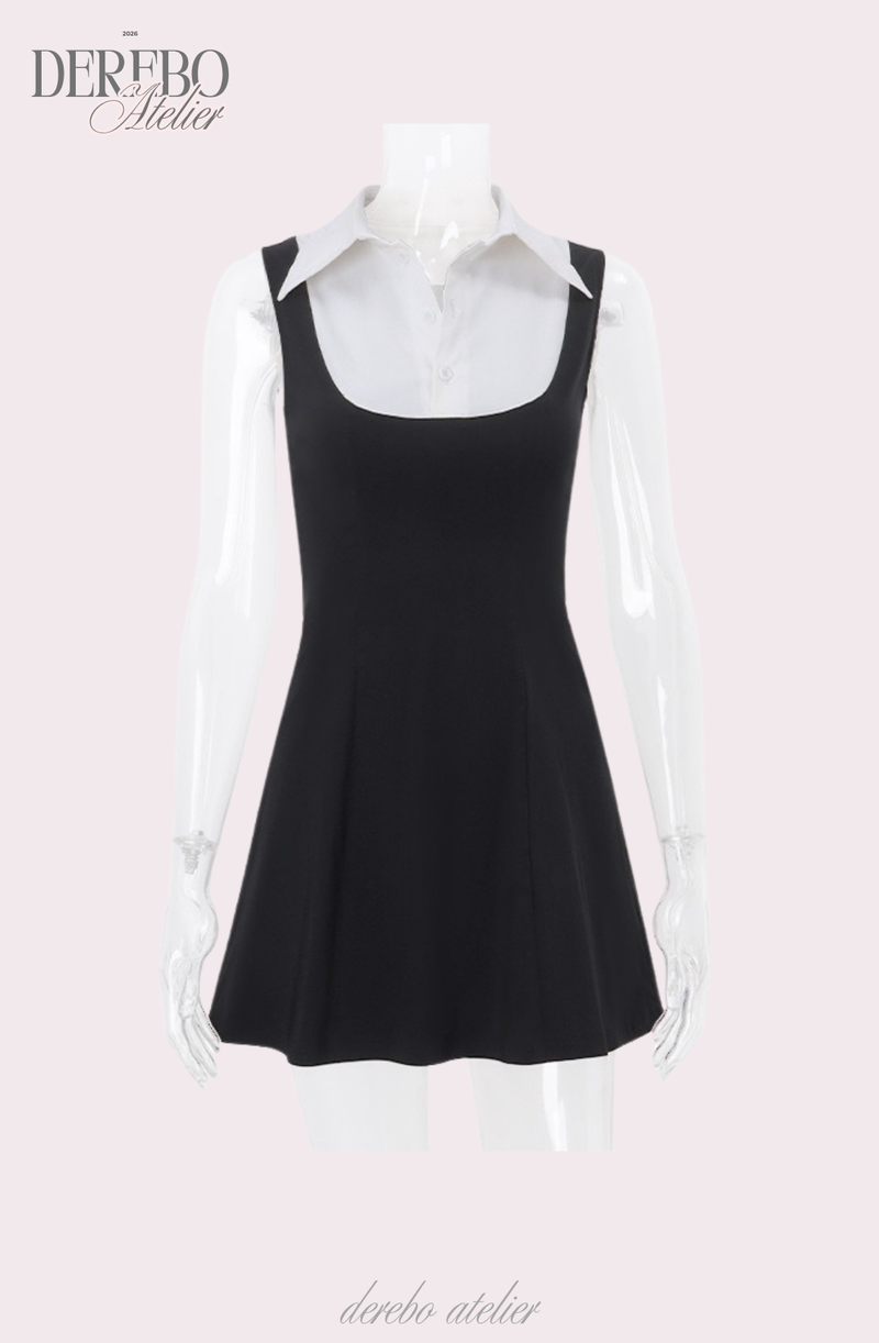 Seri collar sleeveless flare dress