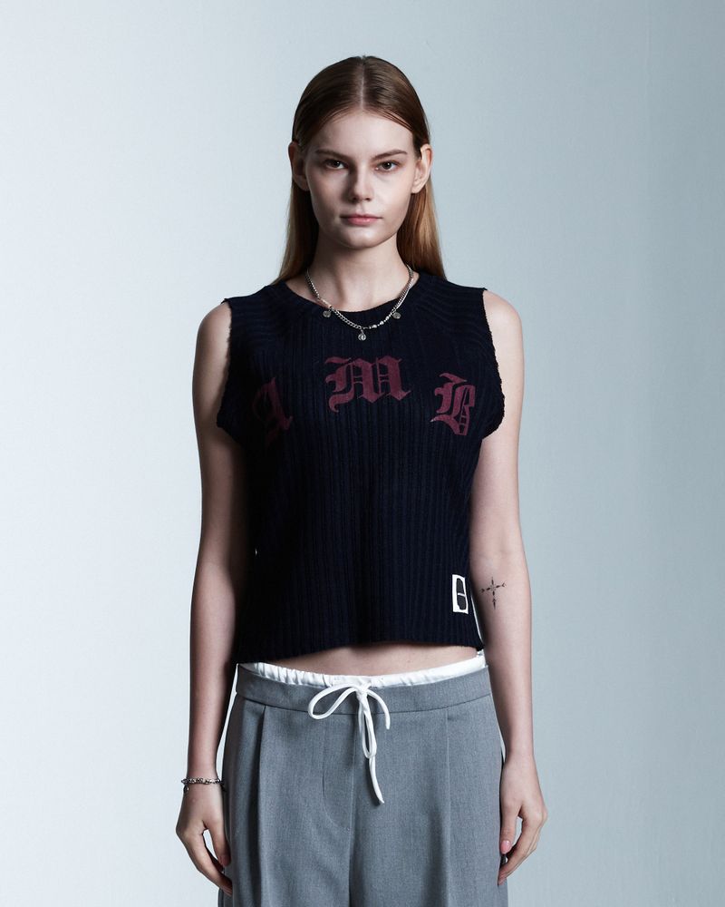 AAMBITION（アアンビション）の「AMBロゴスリーブレス(Navy)（トップス）」