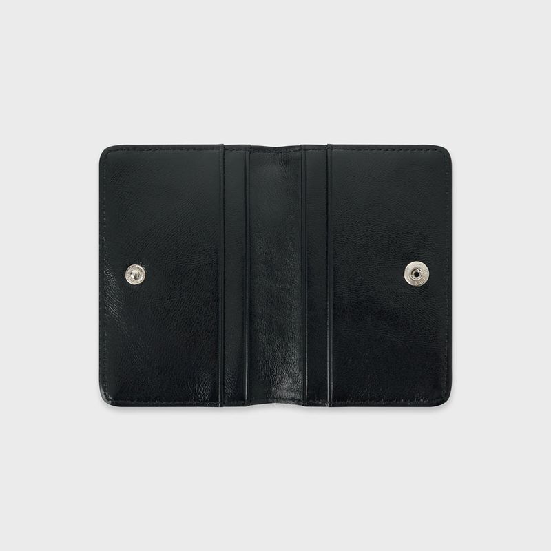 Sunlit Card Case (Black)