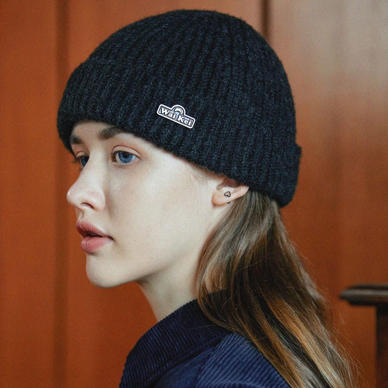 Dolphin logo badge beanie