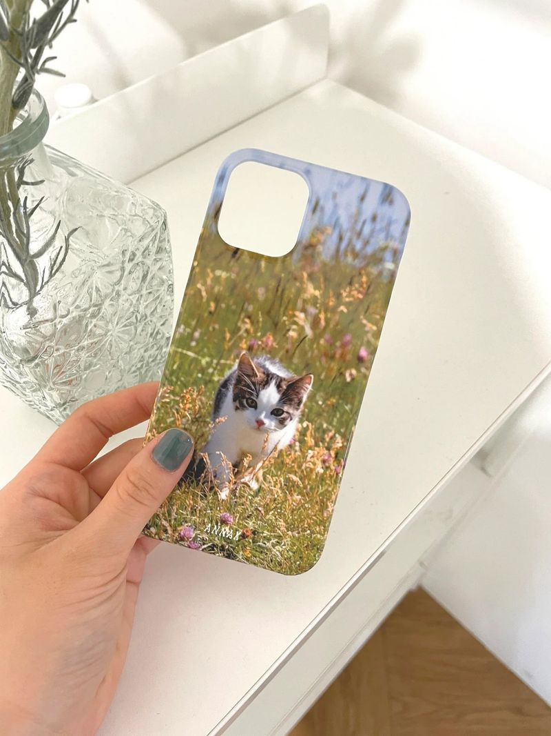 [spring kitten hard case]