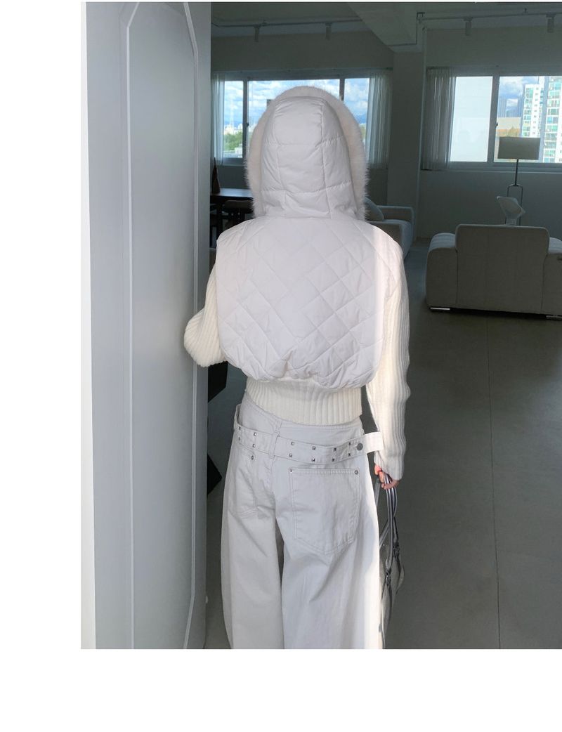 Motion Two-Way Zipper Quilted Knit Padding (3 Colors)