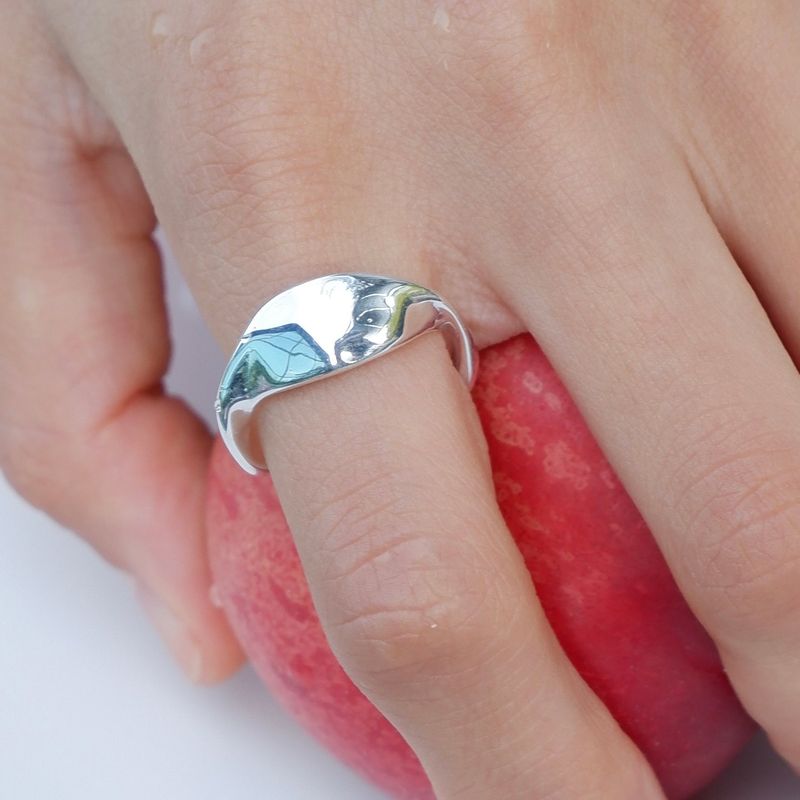 amenudo（アメヌード）の「 [925 Silver] #AR50（アクセサリー）」