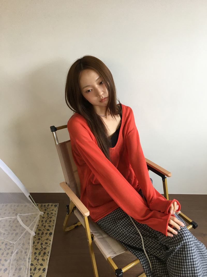 Veiled Summer V-neck Knit (5color)