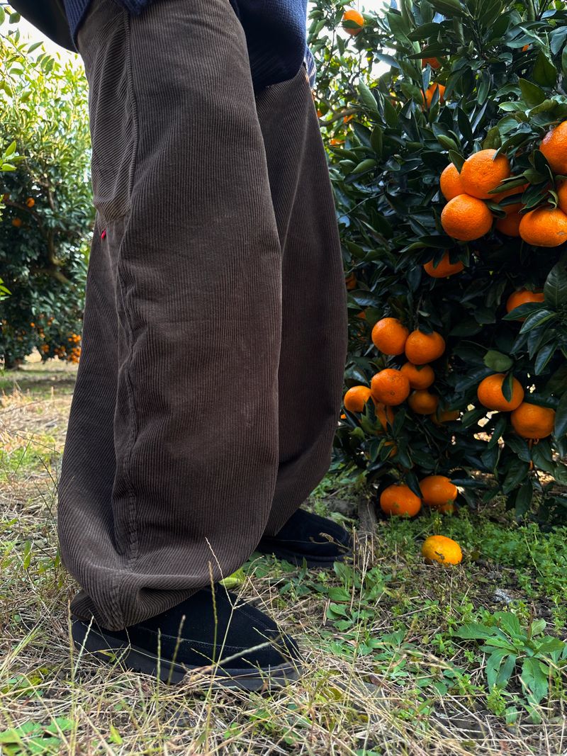 Dane Corduroy Balloon Pants 5C