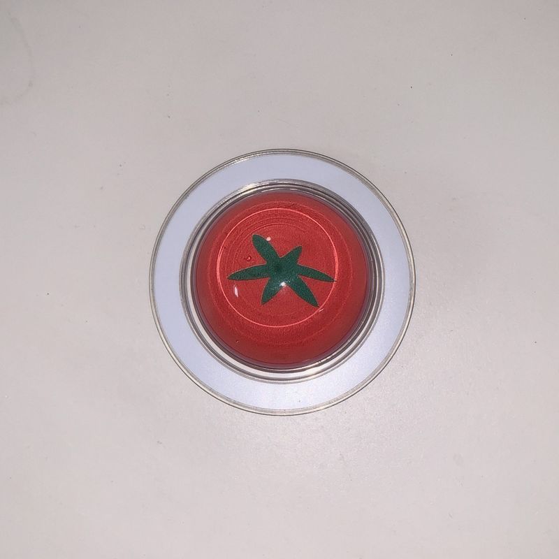 [magsafe] acrylic tomato tok