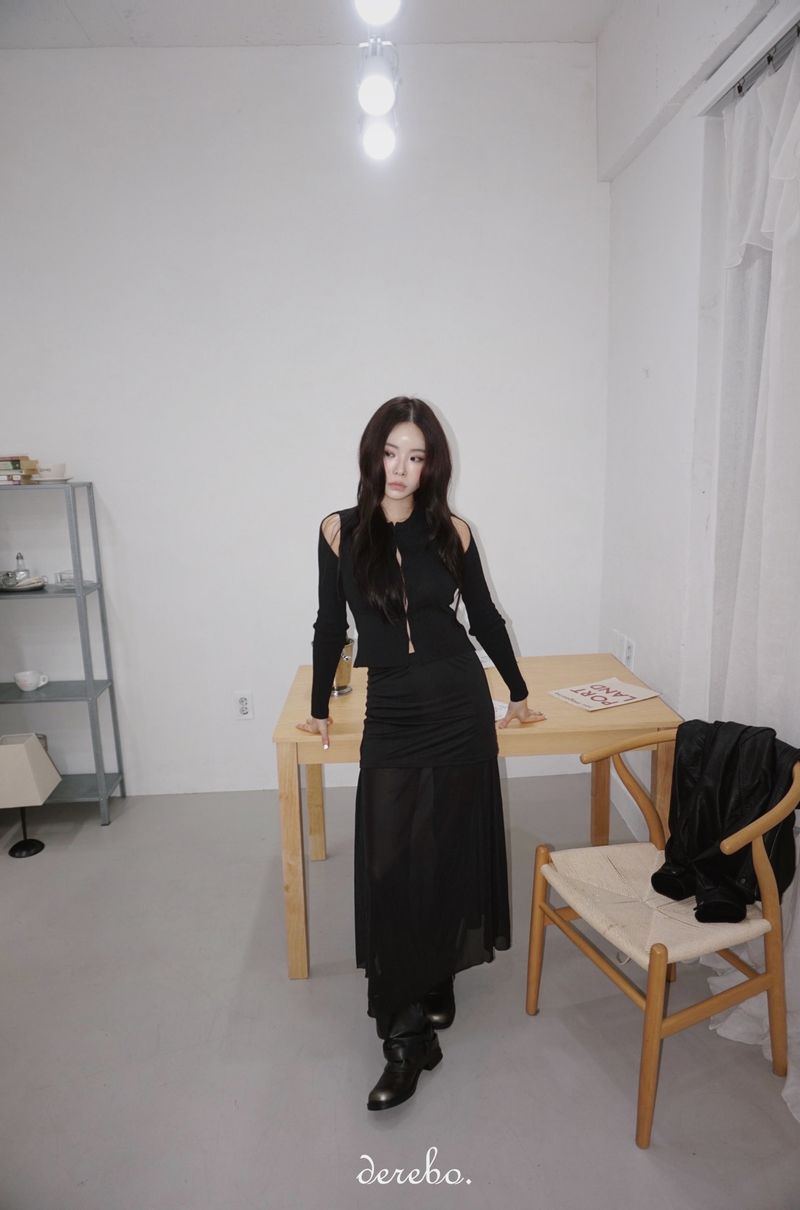 cocktail chiffon see-through long skirt