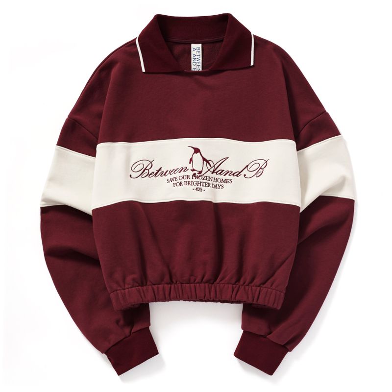 COLOR BLOCK COLLAR SWEATSHIRT_BURGUNDY