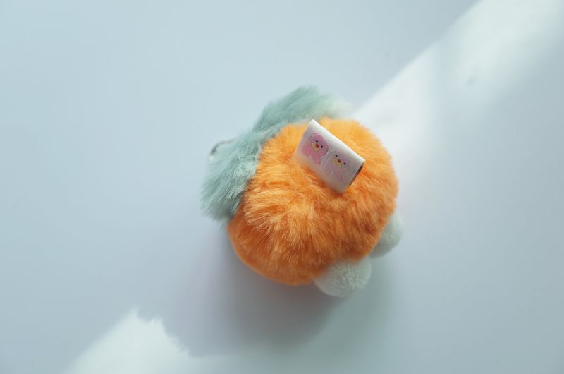 sweet persimmons keyring