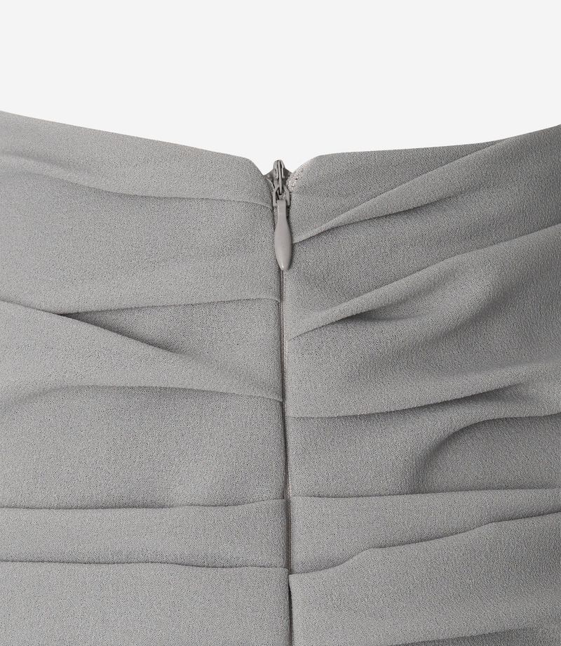 Tutu Chiffon Winged Shirred Skirt