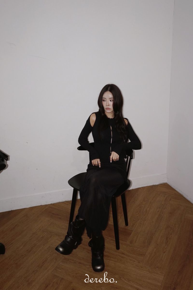 cocktail chiffon see-through long skirt