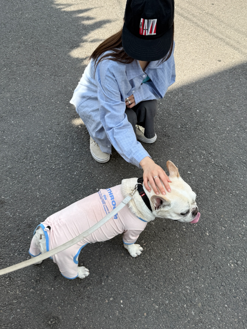 kiki bermuda pants