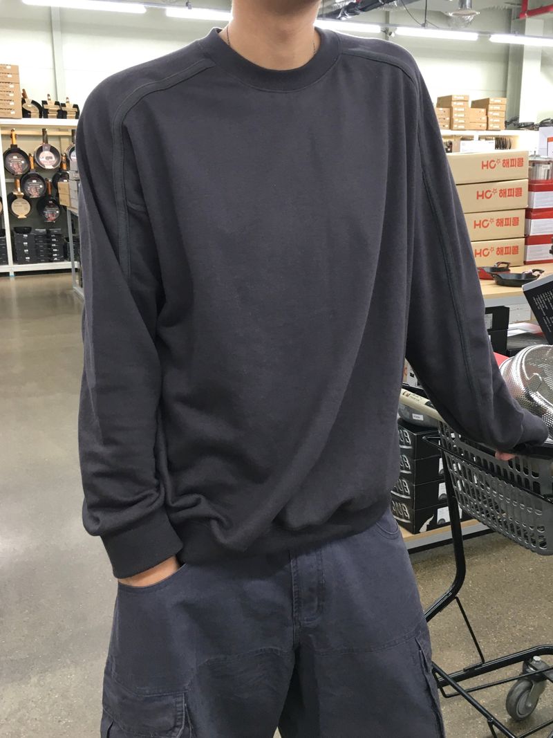 The Core Basic Sweatshirt 3C