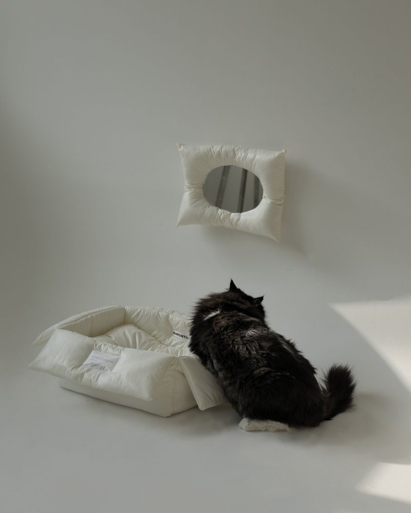 CAT CUSHION BOX_ivory