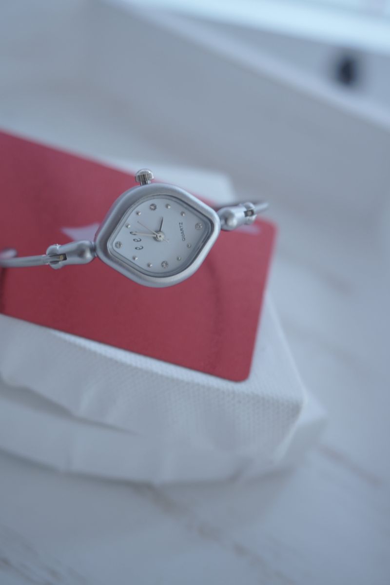 2 DIA WATCH