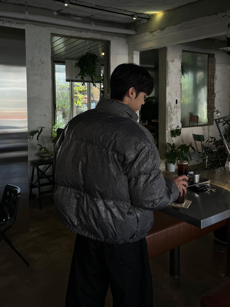 Cracked Nuptse Metallic Short Puffer Jacket