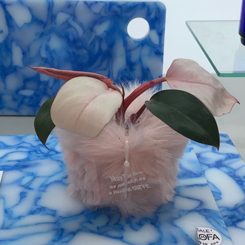 FLUFFY POT (XS