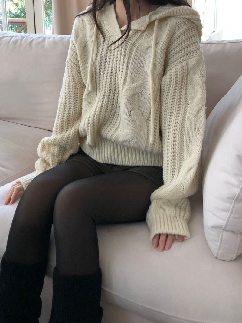 Pound Hooded Knit (2 colors)