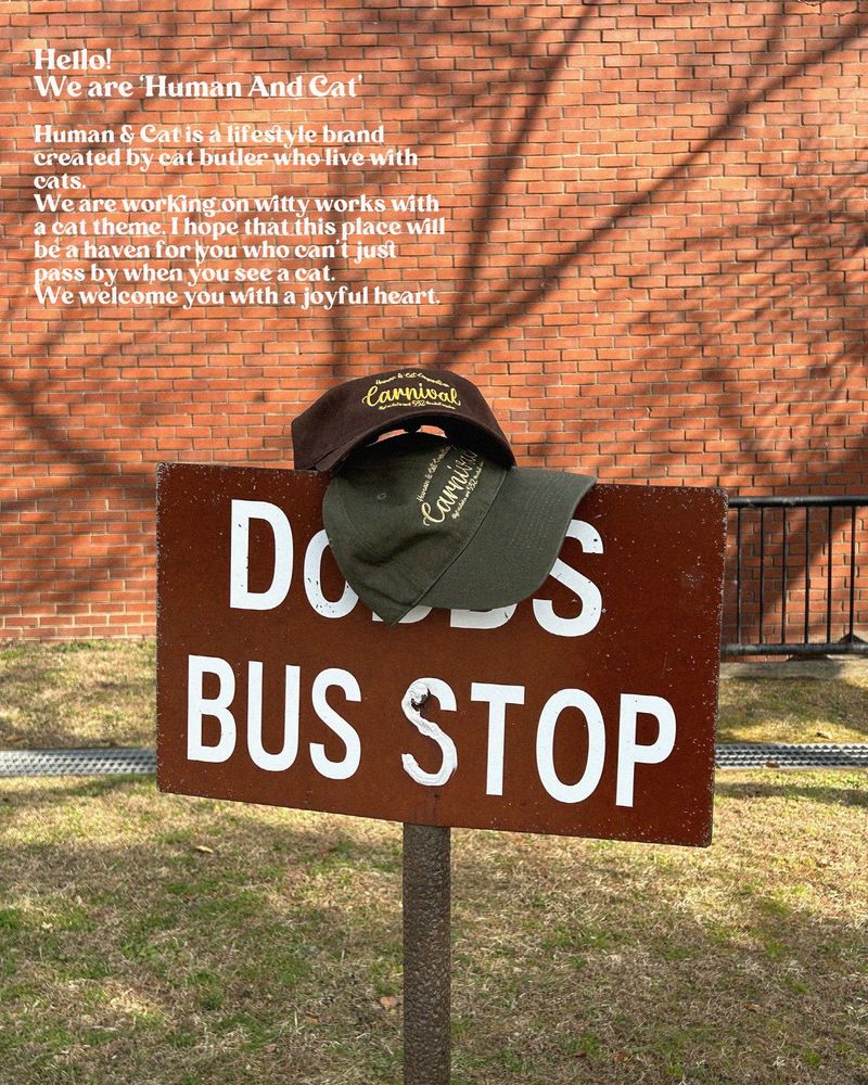 CARNIVAL WASHED BALL CAP / KHAKI