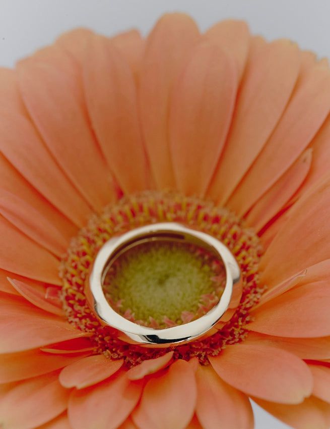 26SS★ Truvion Silver Ring M