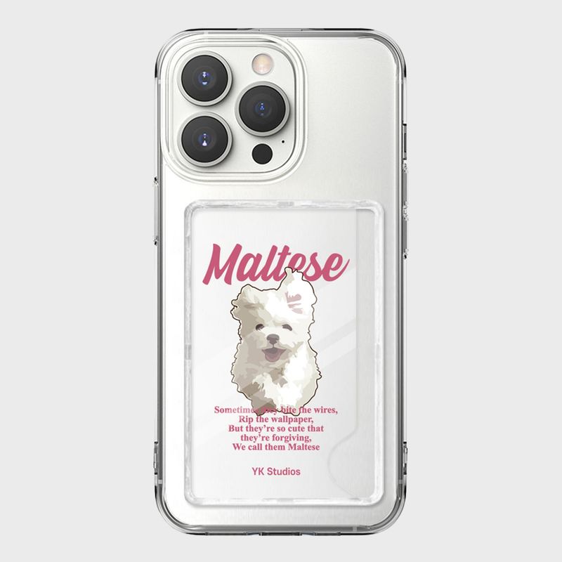 GOOREUM illustration card storage jelly hard case