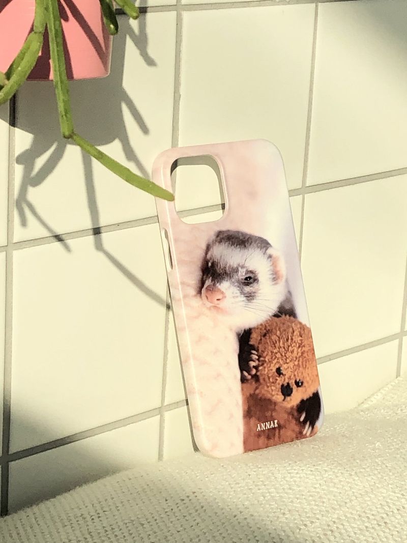 [my teddy bear ferret hard case]