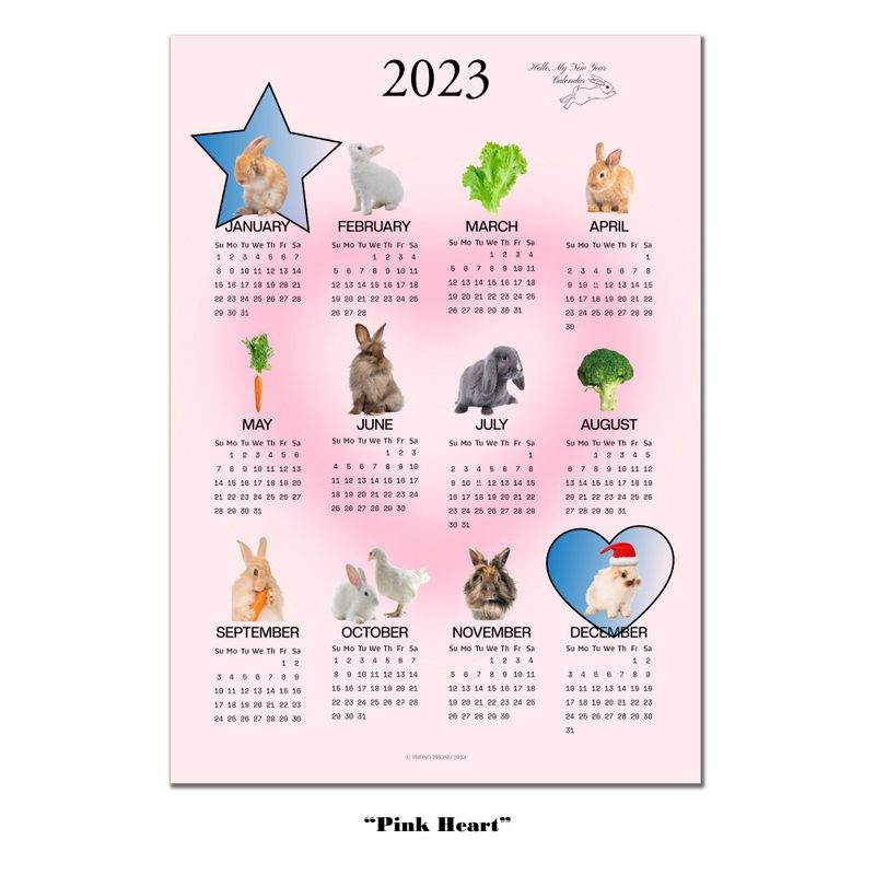 2023 RABBIT CALENDAR POSTER