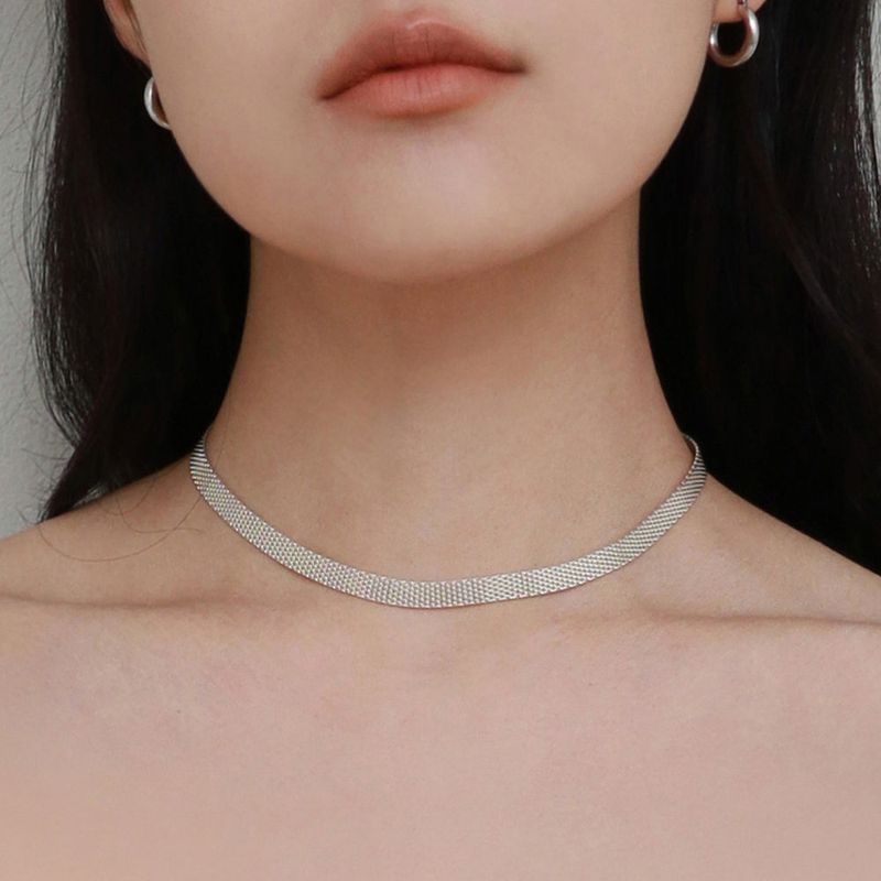 Less is more(レスイズモア)の「silver fabou necklace (silver925)(Accessories)」