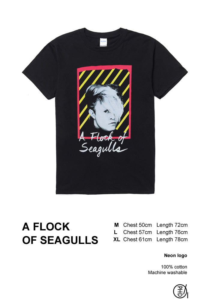 A Flock Of Seagulls