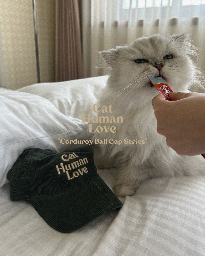 CAT HUMAN LOVE CORDUROY BALL CAP_DEEP GREEN
