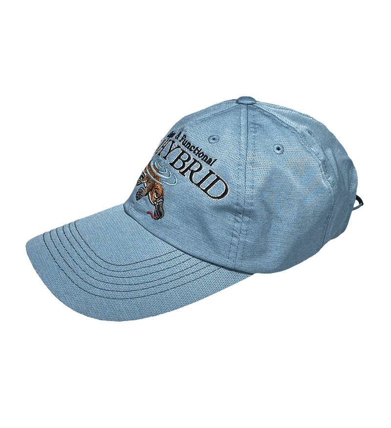 DUCK X RACOON CAP