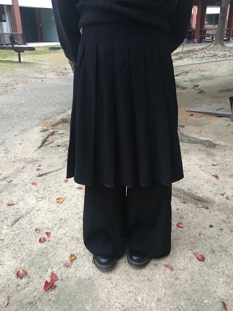 pleats skirt pants