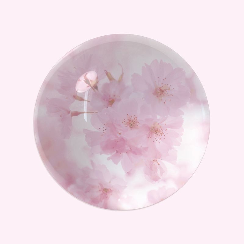 Cherry blossom glass paper weight
